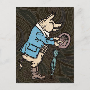 Cartão Postal Jaqueta de porcos Porquinhos Óptica Formal