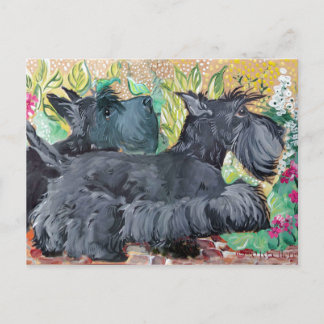 Cartão Postal Jarden Scottish Terriers