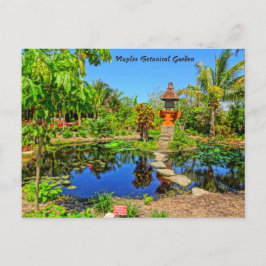 Cartão Postal Jardim Asiático - Jardim Botânico de Nápoles, FL