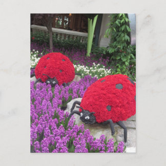 Cartão Postal Jardim Borboleta Las Vegas Flor Ladybug ÚNICO G