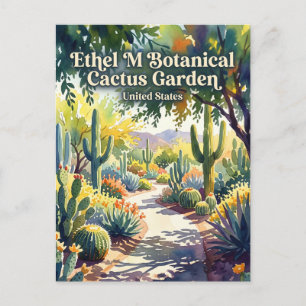 Cartão Postal Jardim Botânico de Cactus Ethel M EUA