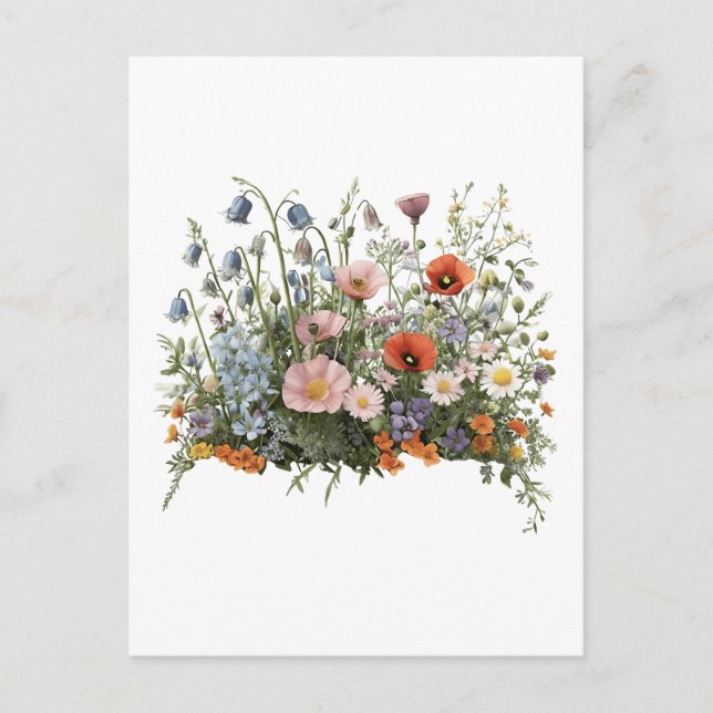 Cartão Postal jardim botânico de flores de campo (Frente)