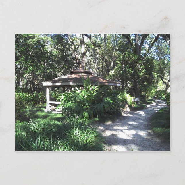Cartão Postal Jardim botânico de Florida (Frente)