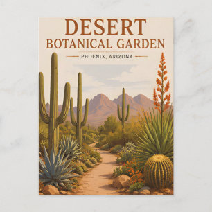 Cartão Postal Jardim Botânico do Deserto Paisagem de Cactus do A