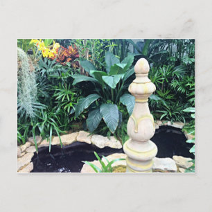 Cartão Postal Jardim Botânico Natureza Amadurece Cartão-postal
