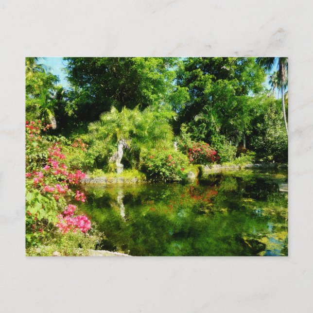 Cartão Postal Jardim com Bahamas Freeport (Frente)