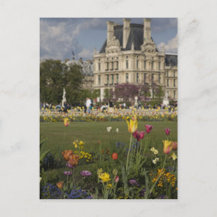 Cartão Postal Jardim das Tulherias, Louvre, Paris, França