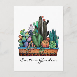 Cartão Postal Jardim de Cactus Caqueteira Bonita Em Belo Pote