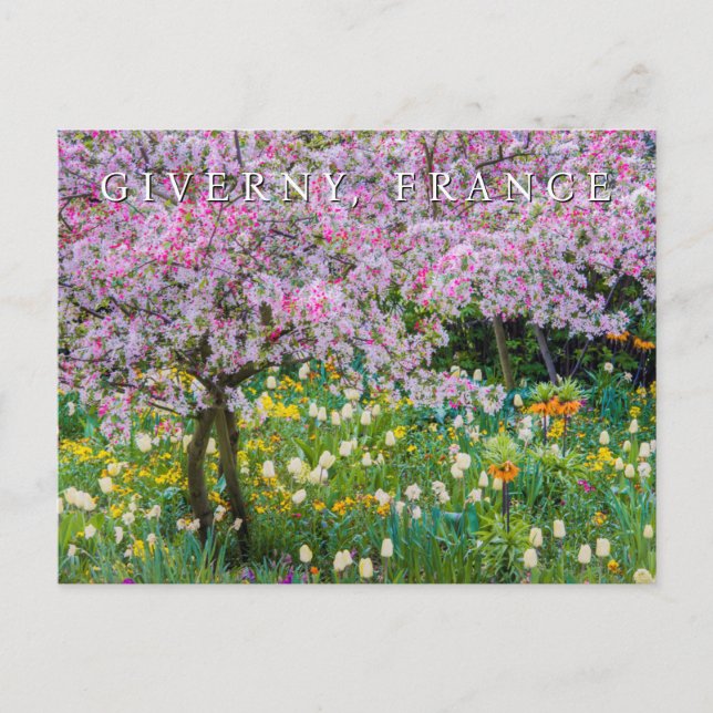 Cartão Postal Jardim de Claude Monet | Feliz Aniversário (Frente)