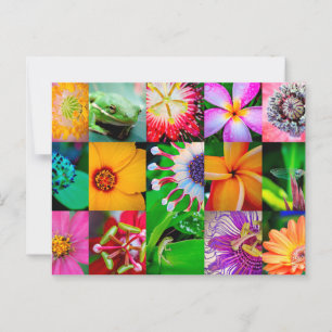 Cartão Postal Jardim de Colagem Floral de Flores Todo Vazio de O