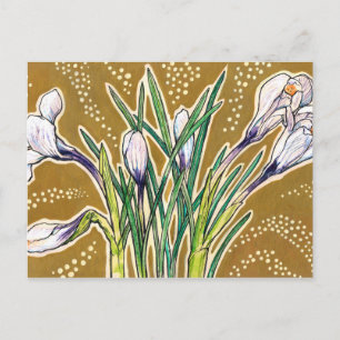 Cartão Postal Jardim de Crocus Brancos Flores Botânicas Arte Flo