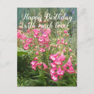 Cartão Postal Jardim de Flores Penstemon floral Feliz Aniversári