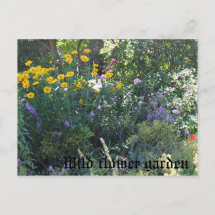 Cartão Postal Jardim de flores selvagens