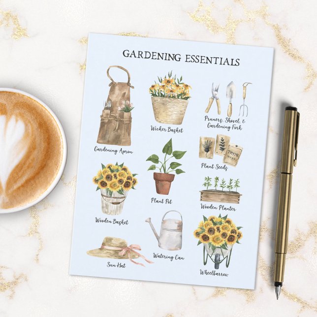 Cartão Postal Jardim de girassol essencial para jardinagem azul (In situ)