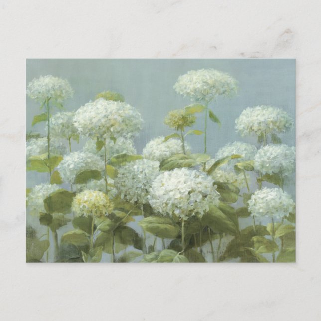 Cartão Postal Jardim de Hydrangea Branco (Frente)