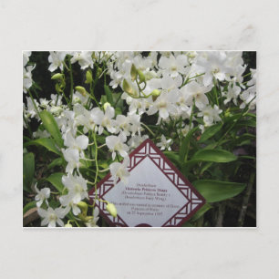 Cartão Postal Jardim de Orquídea "Princesa Diana", Singapura