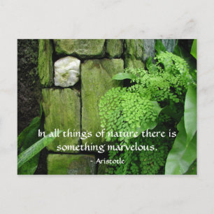 Cartão Postal Jardim de Pedra: Aristóteles - Cartão-postal