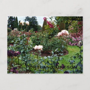 Cartão Postal Jardim de Rosas Cores Patrióticas