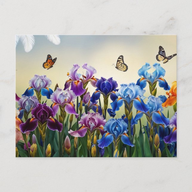 Cartão Postal Jardim de Verão com flores e borboletas de íris (Frente)
