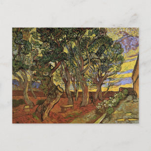 Cartão Postal Jardim do Hospital Saint-Paul por Vincent van Gogh