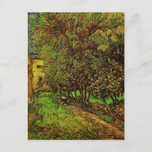 Cartão Postal Jardim do Hospital Saint-Paul por Vincent van Gogh