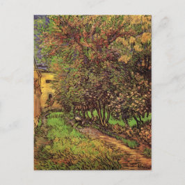 Cartão Postal Jardim do Hospital Santo-Paul, Vincent van Gogh