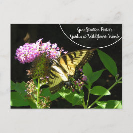 Cartão Postal Jardim do Porter Gene Stratton em Wildflower Woods