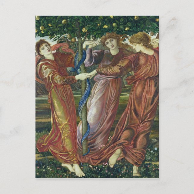 Cartão Postal Jardim dos Hesperides, 1869-73 (Frente)