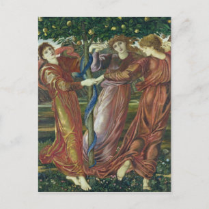 Cartão Postal Jardim dos Hesperides, 1869-73