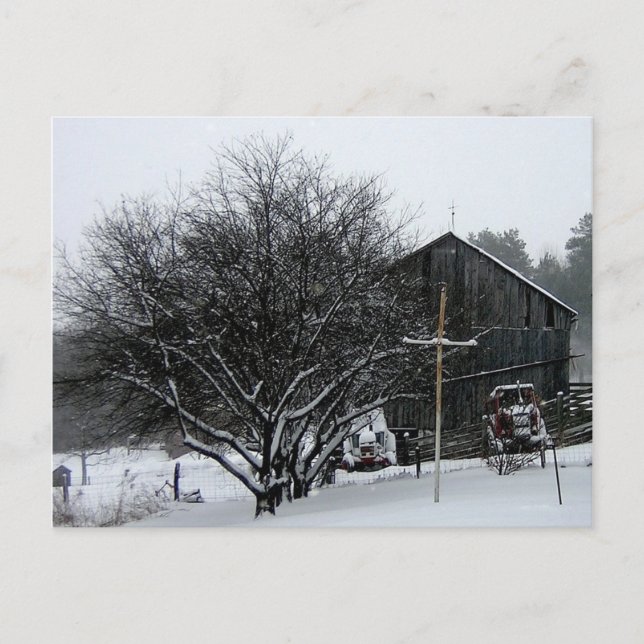 Cartão Postal Jardim dos Pais de Neve (Frente)