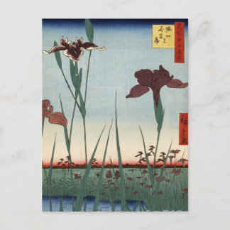 Cartão Postal Jardim Horikiri Iris (堀 切 の 花 蒲 菖)