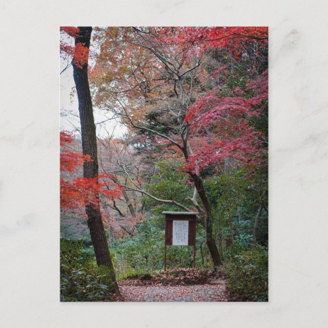 Cartão Postal Jardim Interior do Xerife Meiji-Jingu (Frente)