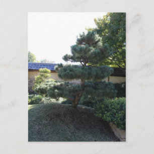 Cartão Postal Jardim Japonês em Fort Worth Texas # 17