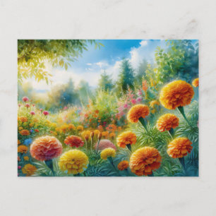 Cartão Postal Jardim Marigold