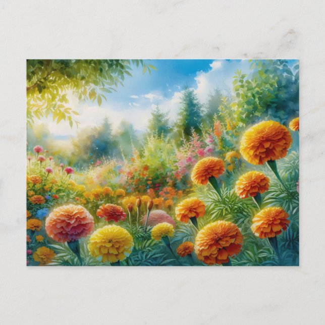 Cartão Postal Jardim Marigold (Frente)