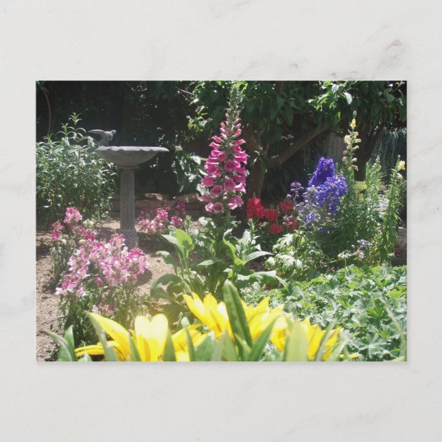 Cartão Postal Jardim primavera 2009 006 (Frente)
