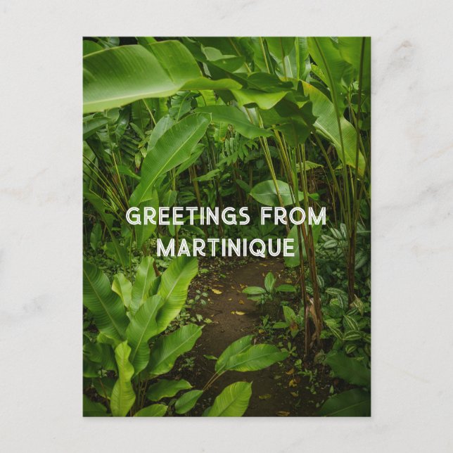 Cartão Postal Jardim tropical da Martinica, viagem (Frente)