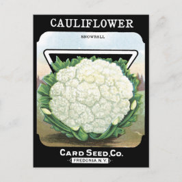 Cartão Postal Jardim Vegetal Branco com Pacote de Sementes de Co