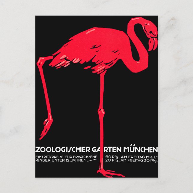 Cartão Postal Jardim Zoológico de Munique Flamingo Viagem Art (Frente)
