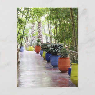 Cartão Postal Jardin Majorelle, Majorelle Garden, agora um públ