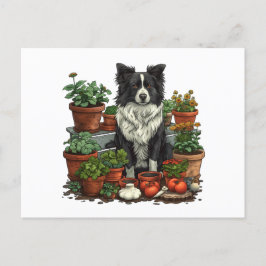 Cartão Postal Jardinagem de Collie de Borda Corta