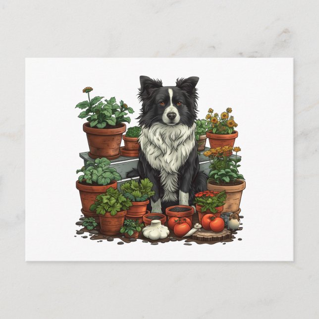 Cartão Postal Jardinagem de Collie de Borda Corta (Frente)
