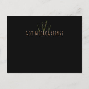 Cartão Postal Jardinagem Herbs Micro Greens