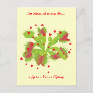 Cartão Postal Jardineiro apaixonado