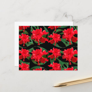 Cartão Postal Jardineiro Hibisco Monstera Estampa Preto  