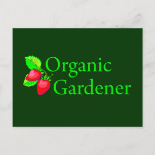 Cartão Postal Jardineiro Orgânico - Morangos