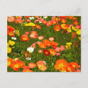 Cartão Postal Jardins botânicos