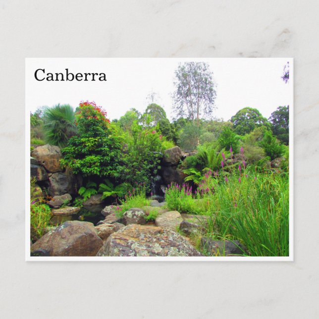 Cartão Postal jardins botânicos de canberra (Frente)