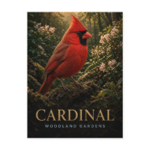 Jardins da Floresta Cardinal Vida Selvagem ANIMAL