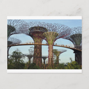 Cartão Postal Jardins da Superárvore da Baía de Singapura